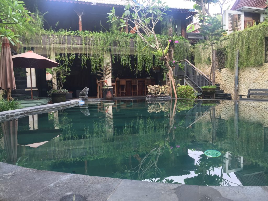 Developing Katak Tepi Sawah into a premium resort