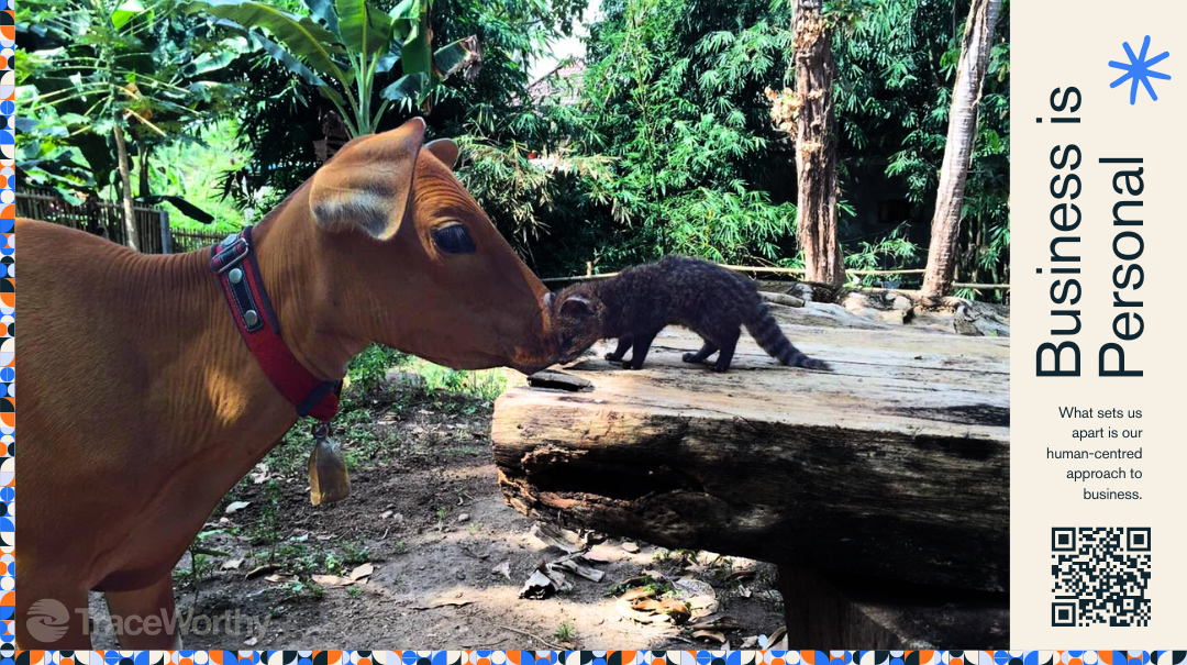 The Sexiest Cow in Bali: Turning Business Waste Into a Product