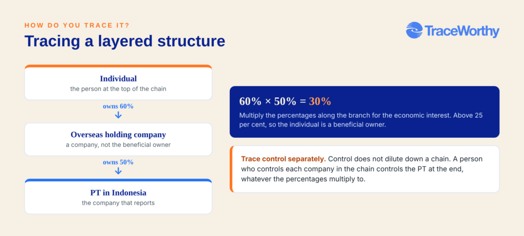 Tracing the beneficial owner through a layered ownership chain, multiplying percentages and tracing control separately